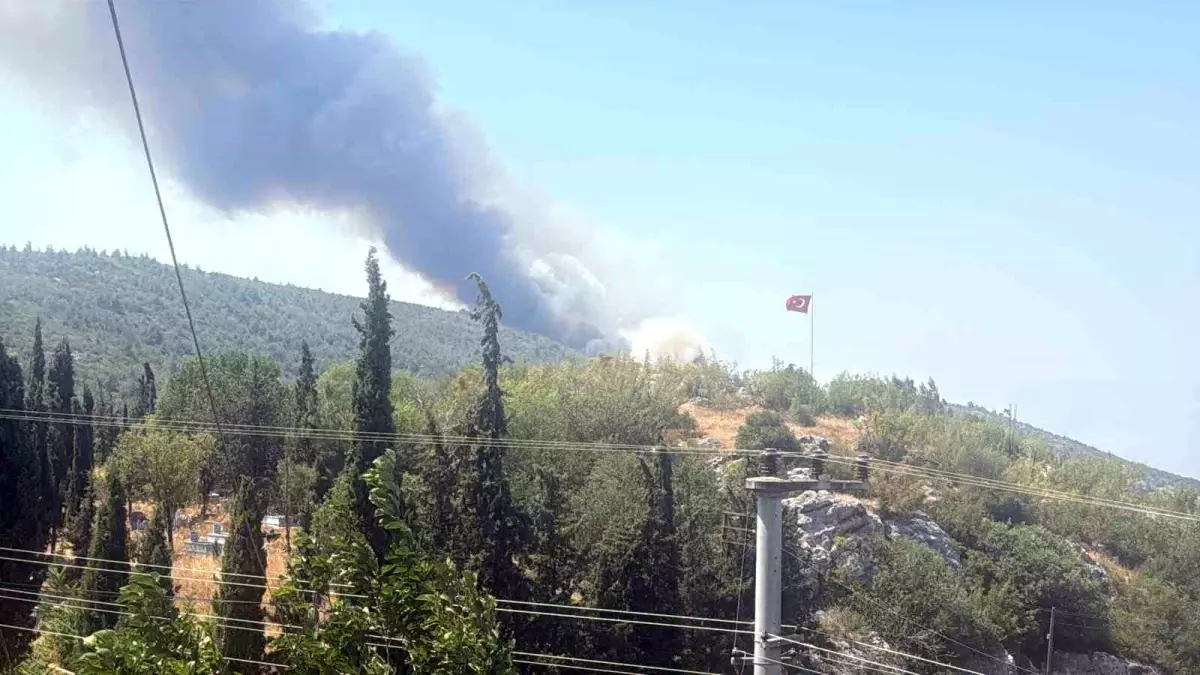 Bilecik\'teki Yangın Tavuk Çiftliklerine Ulaştı