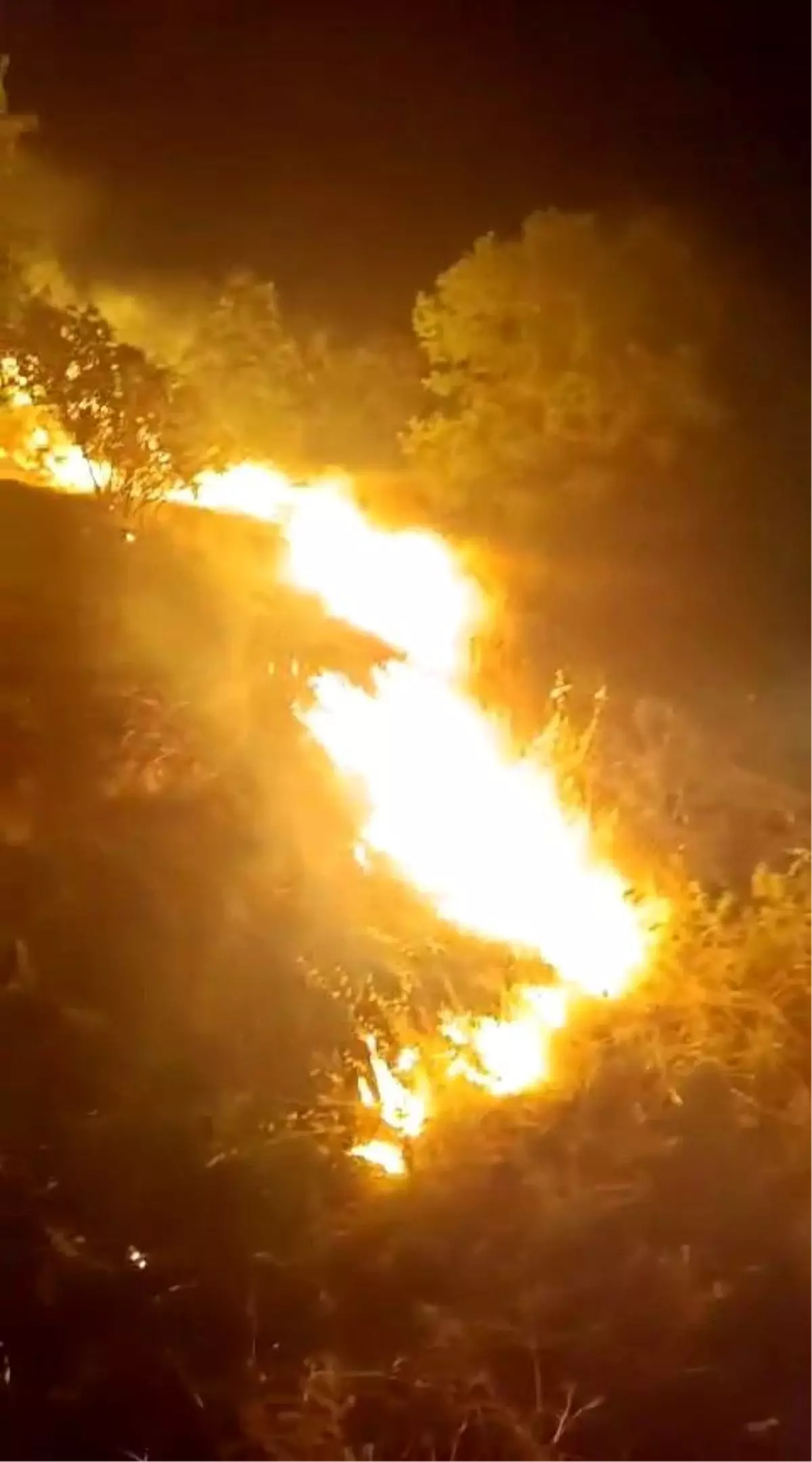 Adıyaman\'da Orman Yangını Söndürüldü