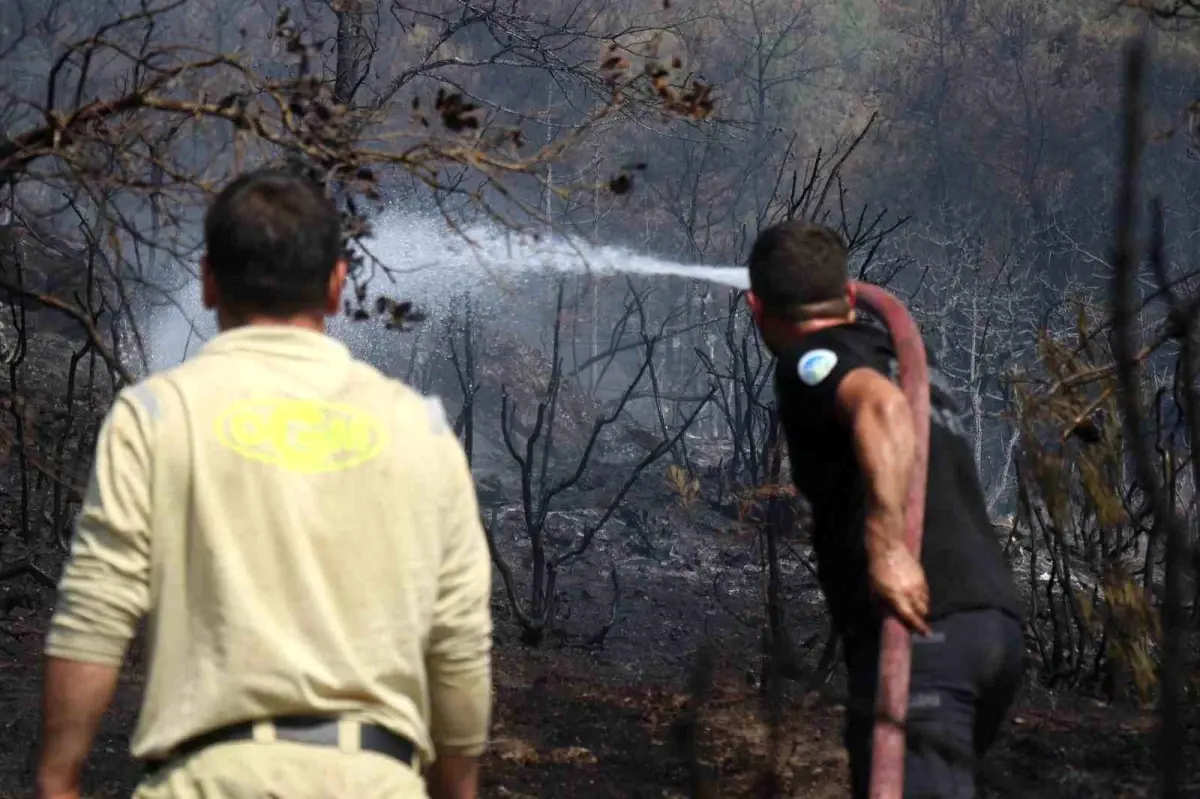 Sakarya-Bilecik Sınırında Yangın Kontrol Altına Alındı