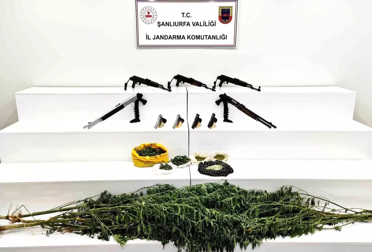 Viranşehir\'de Jandarma Operasyonu: 9 Silah ve Uyuşturucu Ele Geçirildi