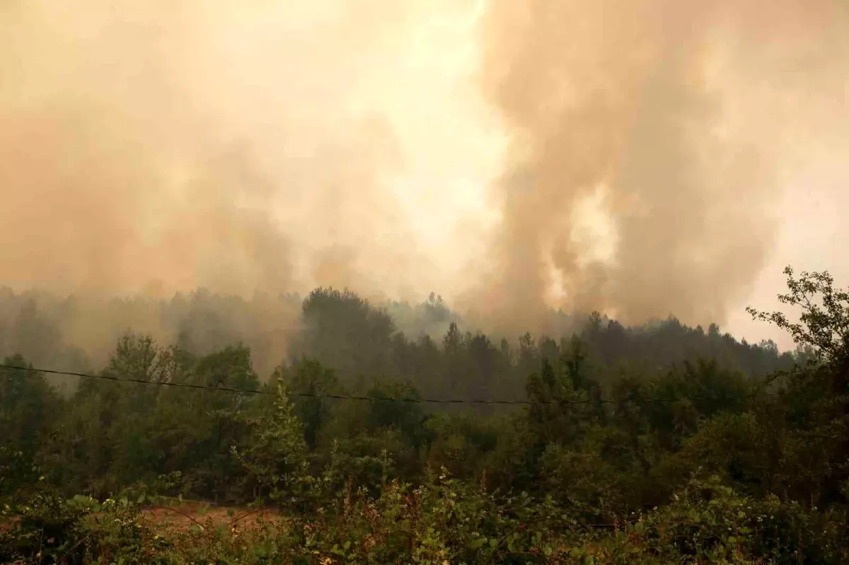 Karabük\'te Orman Yangını Söndürme Mücadelesi