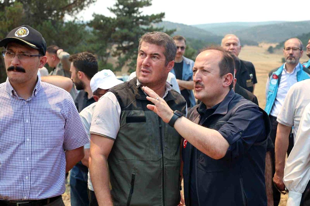 Yangınlarla Mücadele Ve Tahliyeler Devam Ediyor