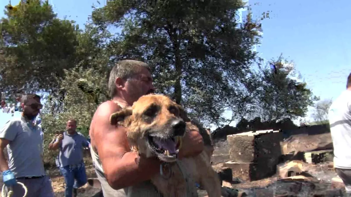 Aksu\'da Yangın: Evler ve Hayvanlar Zarar Gördü