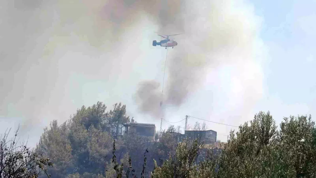 Antalya\'da Orman Yangını Panic Yaratı