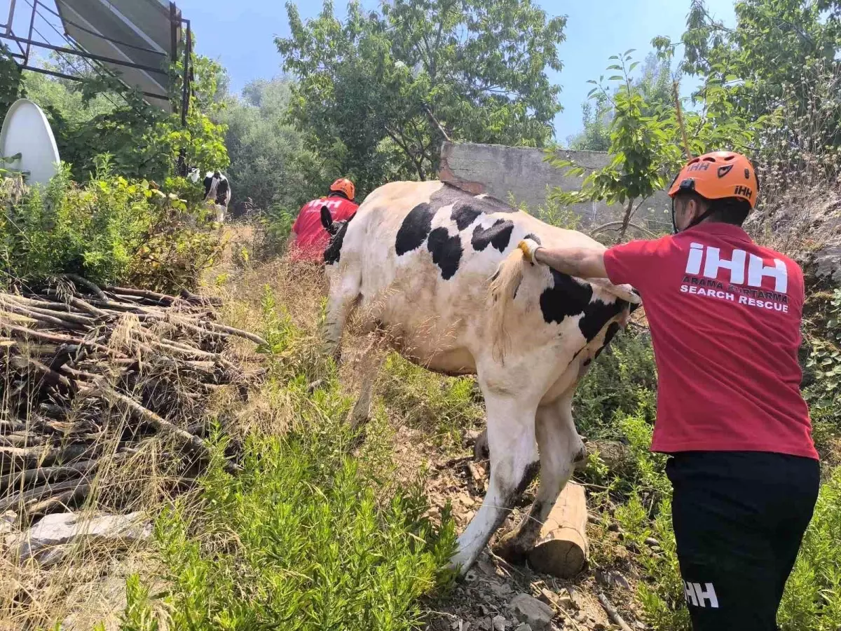 Gazipaşa\'da Orman Yangını: 1 Yaralı