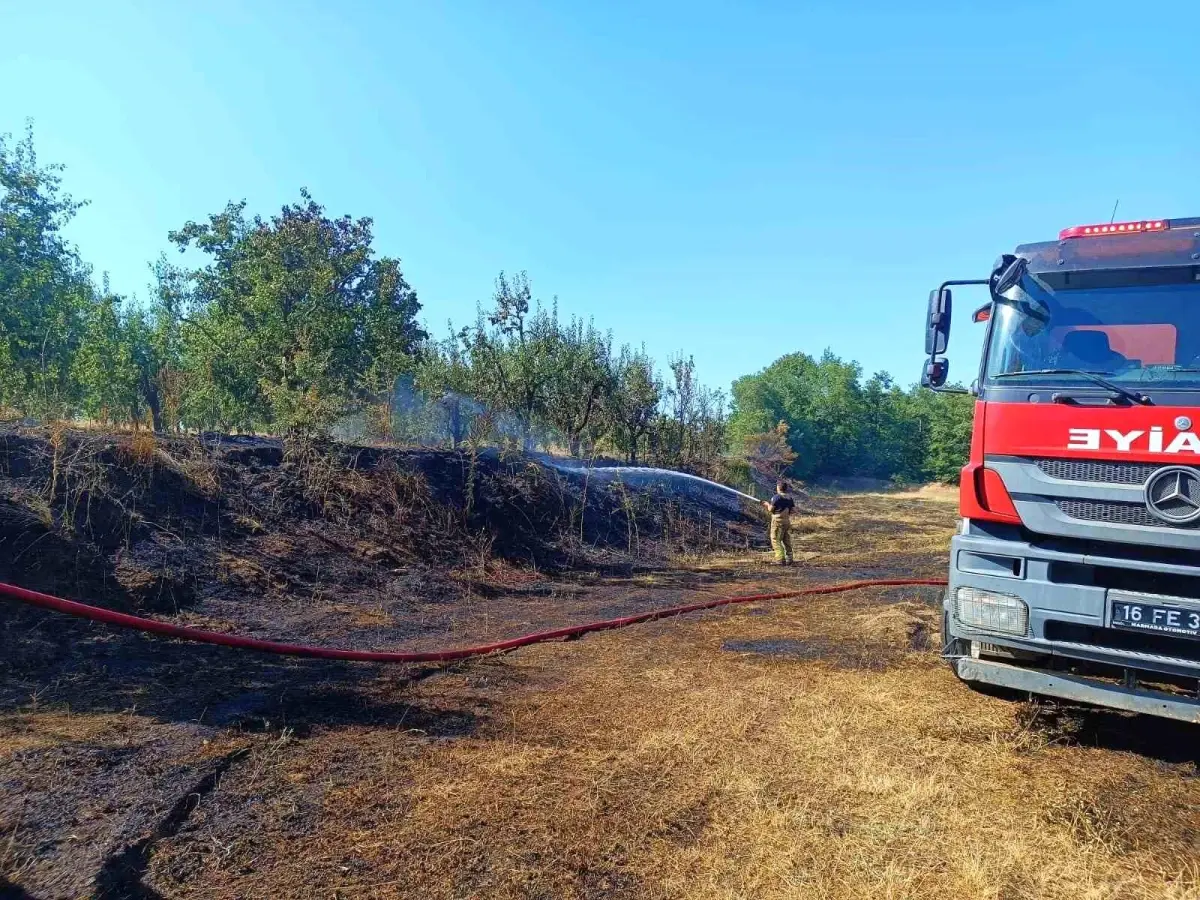 İnegöl\'de Orman Yangını Kontrol Altına Alındı