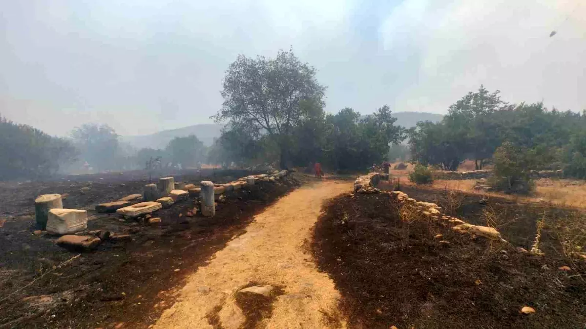 Muğla\'da Yangın: Stratonikia Antik Kenti Tehlikede