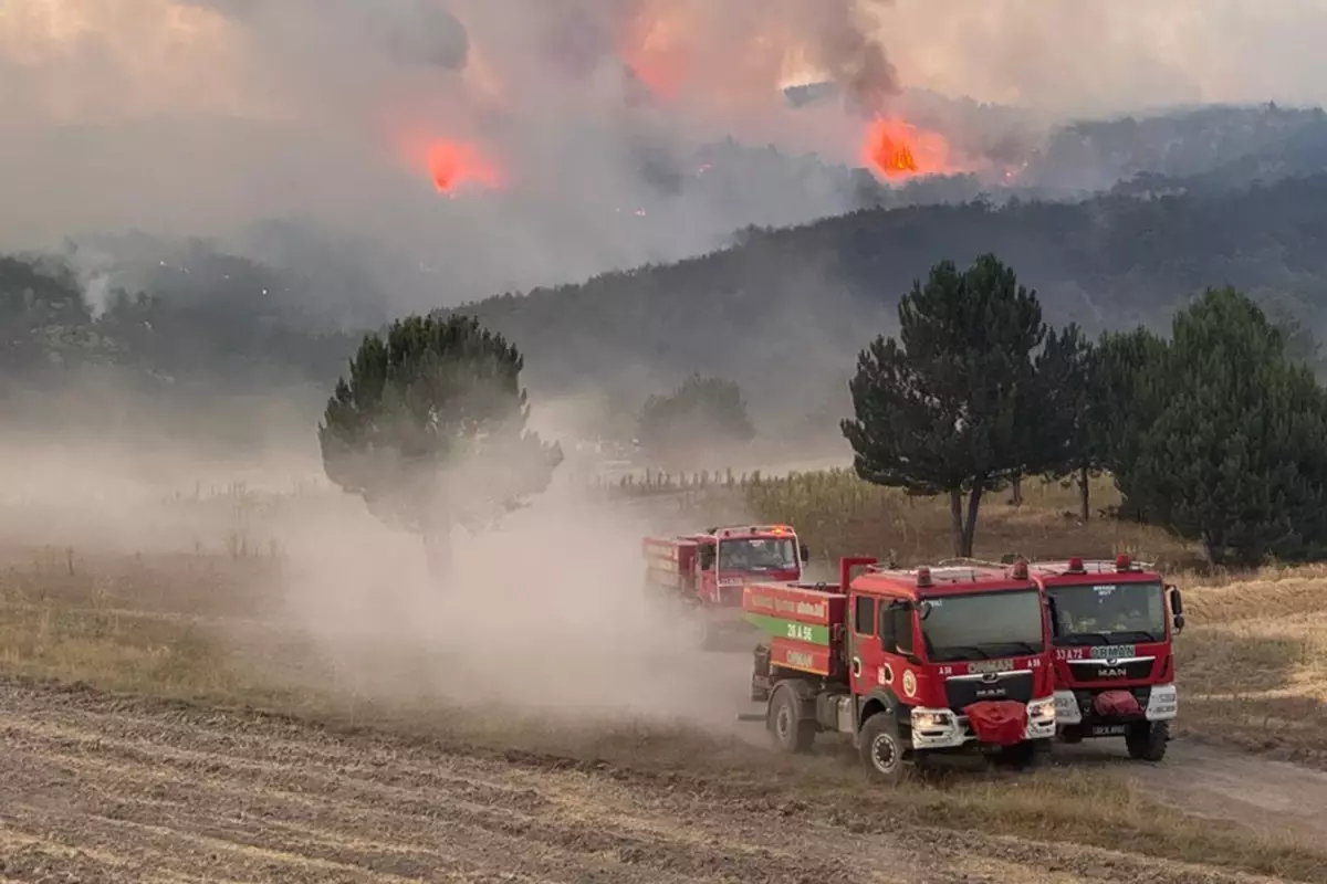 3 ilde alevlerle mücadele! Biri sönmeden diğeri başlıyor