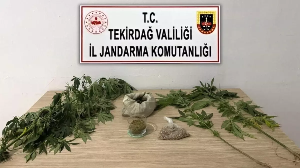 Tekirdağ\'da Uyuşturucu Operasyonları