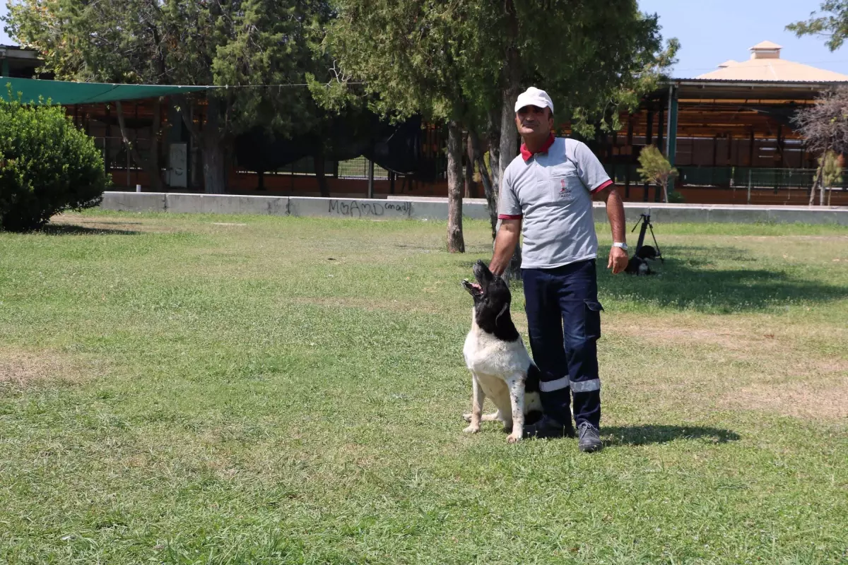 Temizlik Görevlisi ve Köpeği Arasındaki Bağ