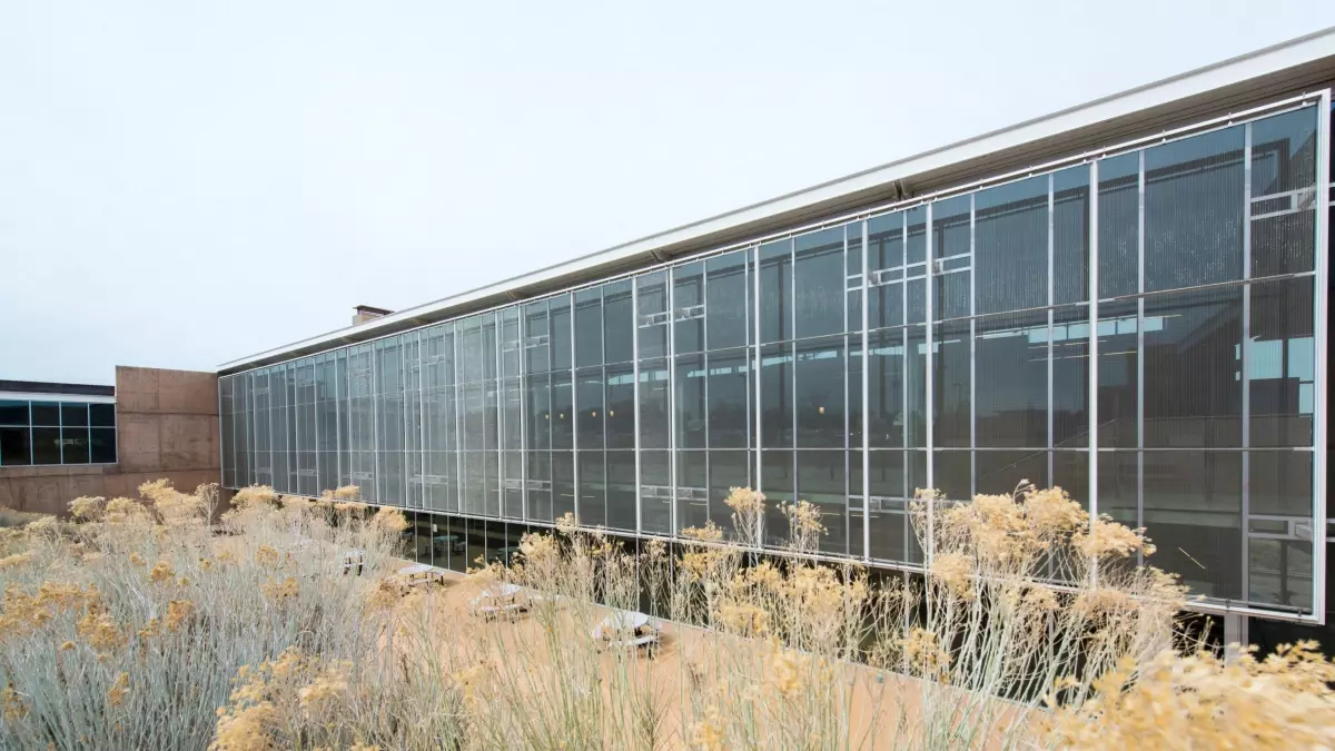 New Mexico Üniversitesi\'nde Silahlı Saldırı: 1 Ölü, 1 Yaralı