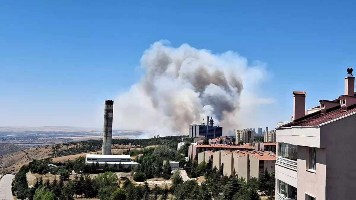 Eymir Gölü\'ndeki Yangın Kontrol Altına Alındı