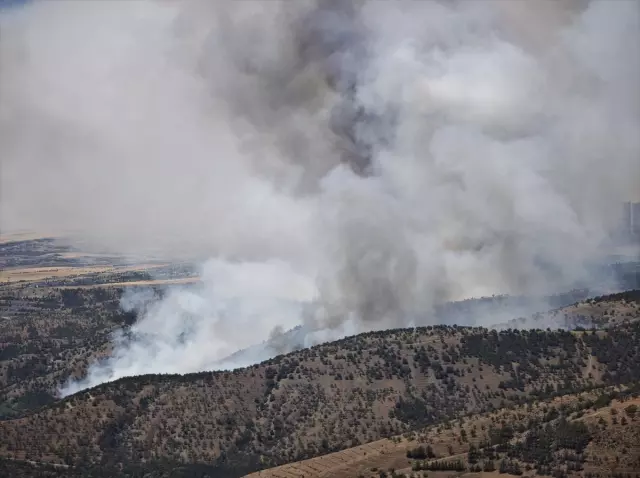 Ankara'da orman yangını