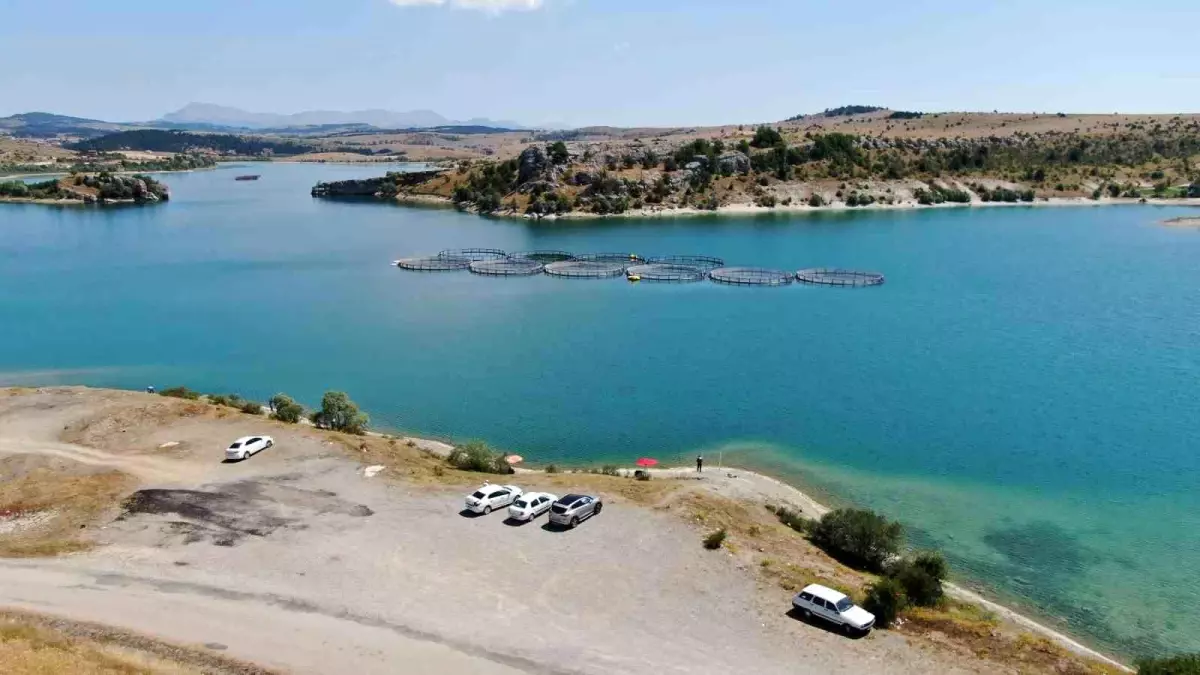 Kastamonu\'da Balık Kaçışı: Vatandaşlar Baraja Akın Etti