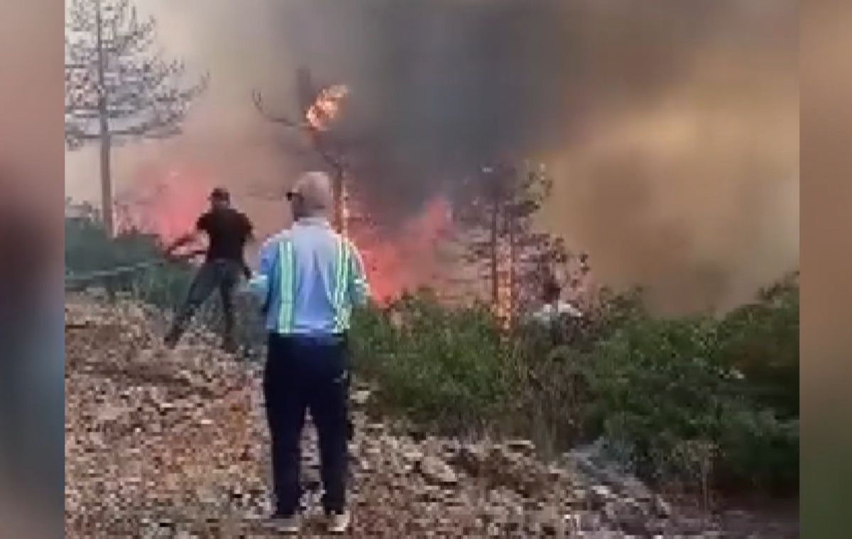 Bursa\'da Orman Yangını