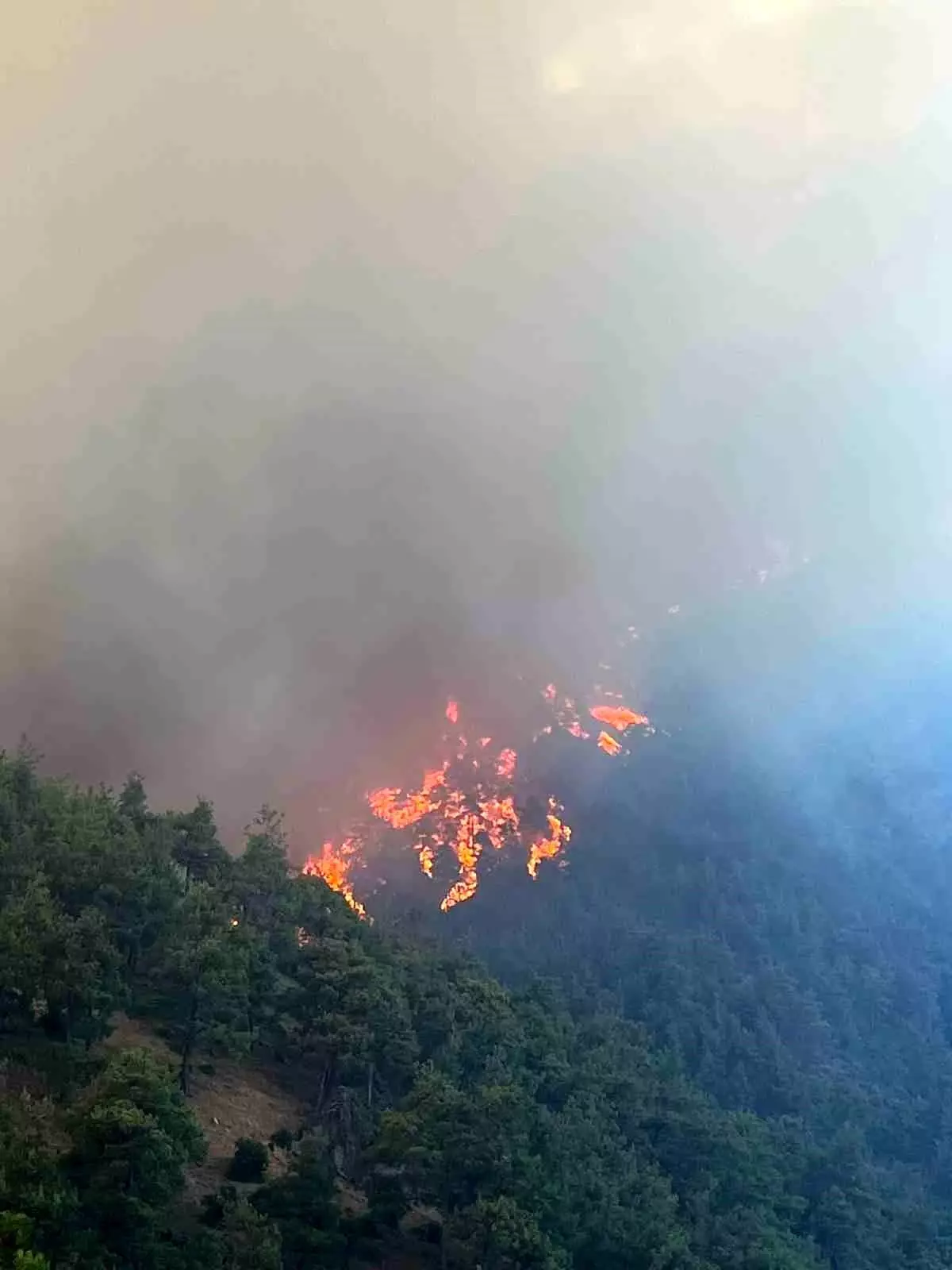 Bursa\'da İki Ayrı Orman Yangını