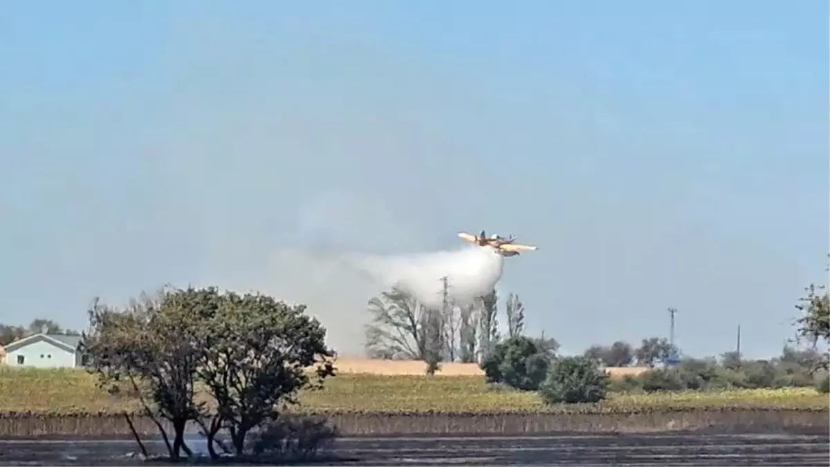 Gelibolu\'da Tarım Arazisinde Yangın Kontrol Altında