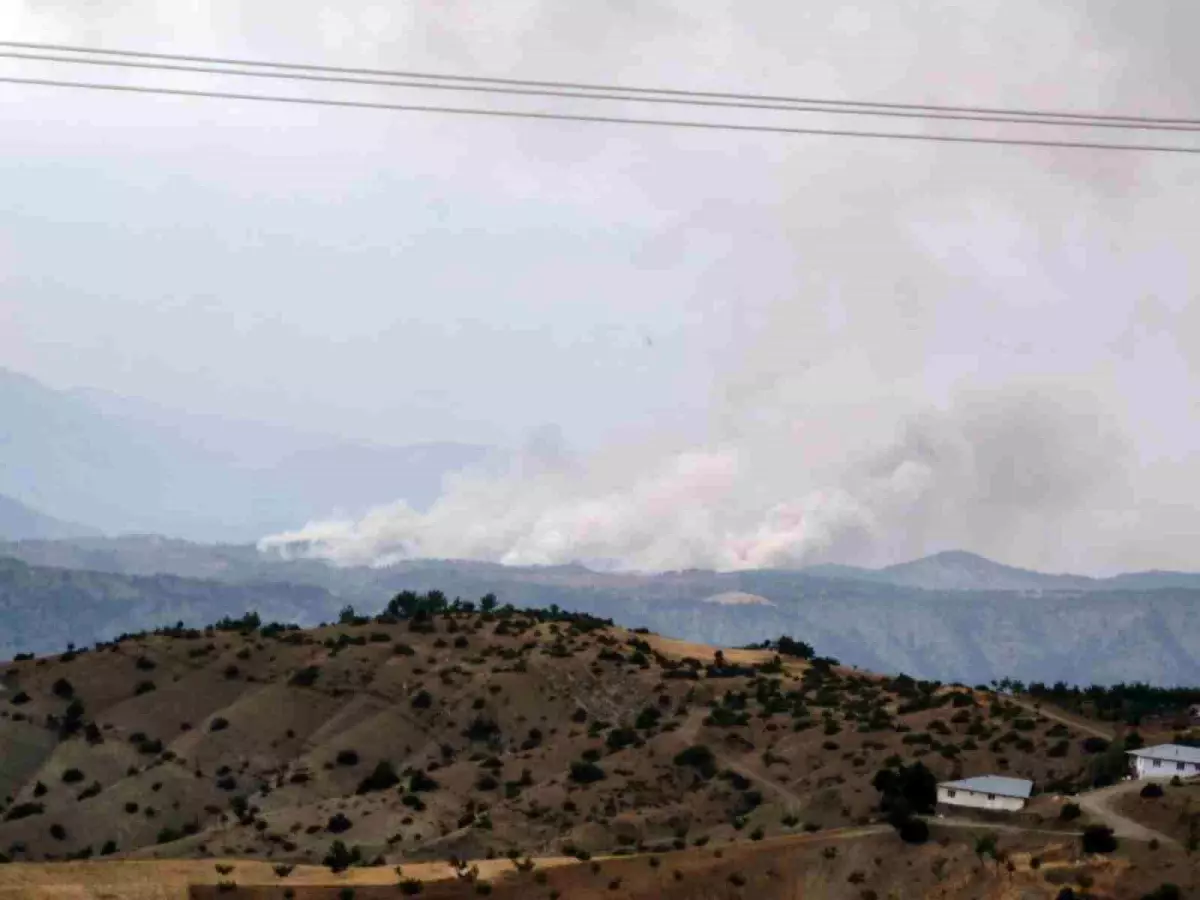 Kahramanmaraş\'ta Orman Yangını
