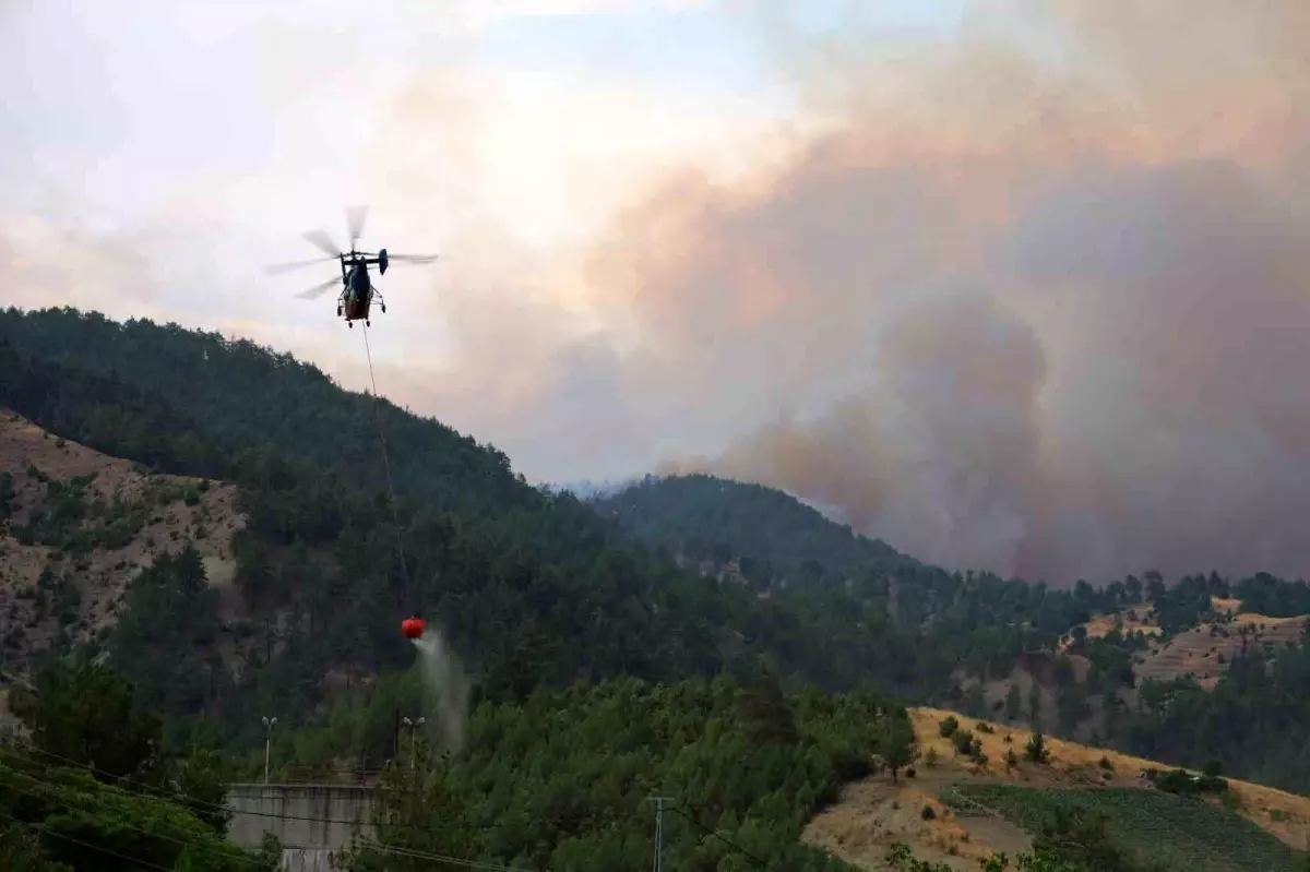 Kahramanmaraş\'ta Orman Yangını