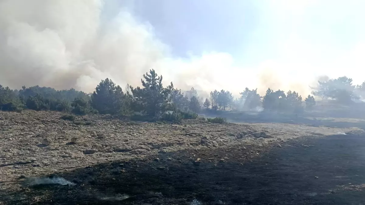 Kütahya\'da Orman Yangını Kontrol Altında