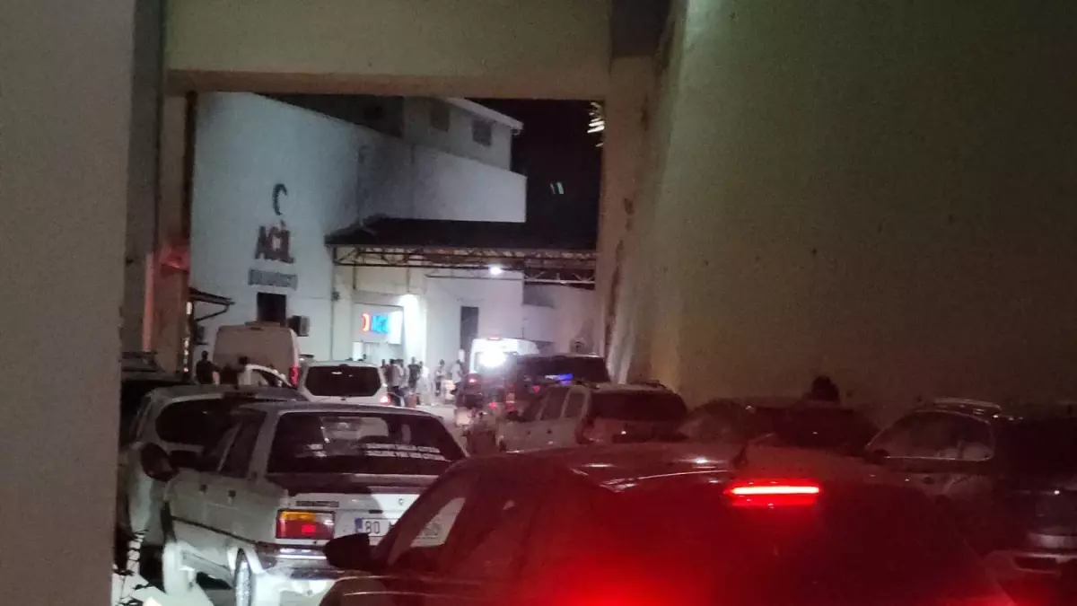 İskenderun\'daki Askeri Eğitimde İki Asker Şehit Oldu