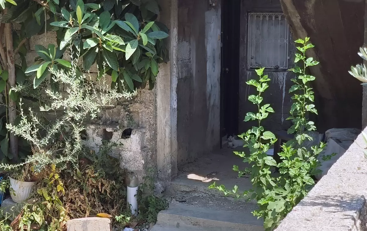 Adana\'da Anne Cinayeti: Oğul Tutuklandı