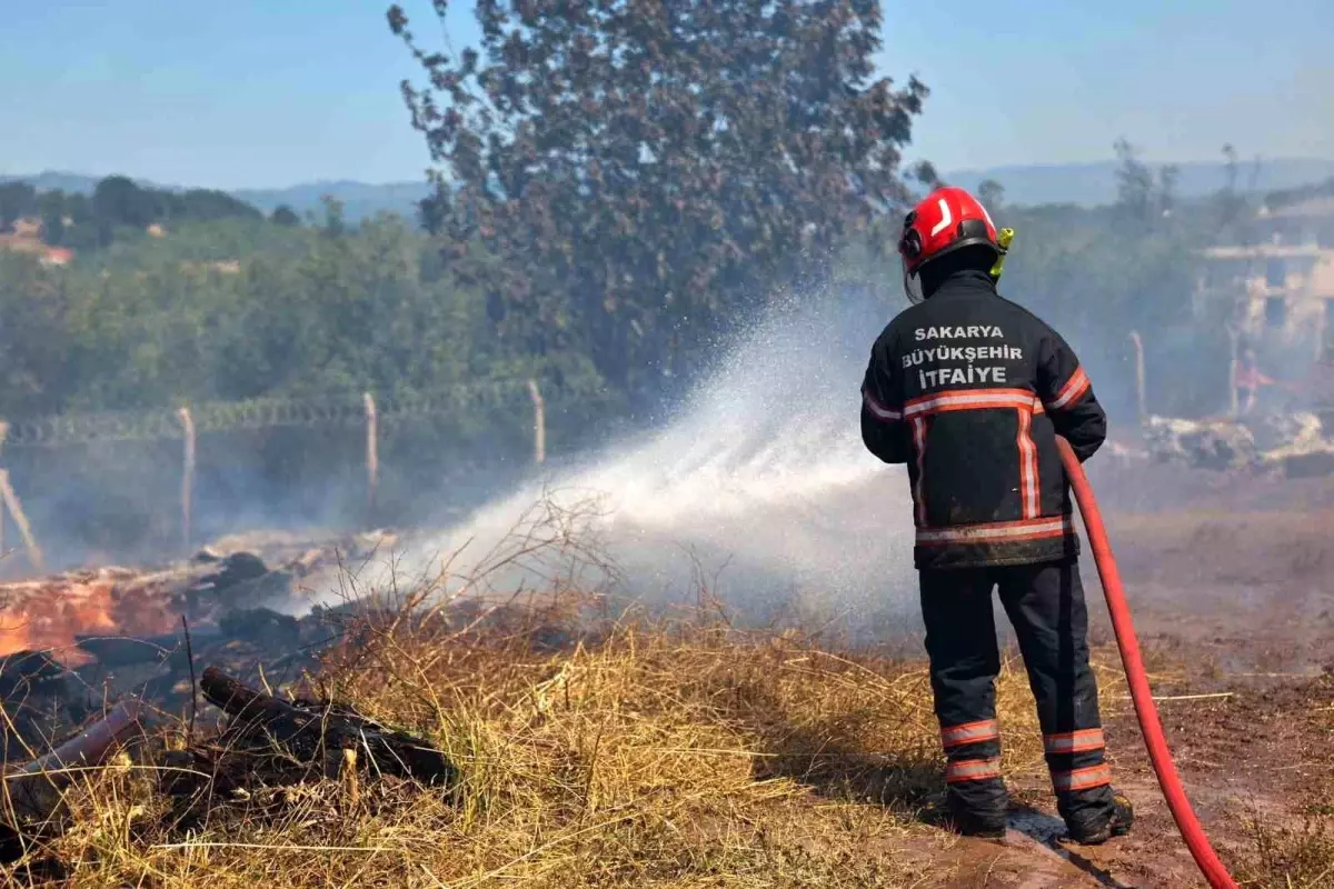 Sakarya\'da Çıkan Yangınlar Kontrol Altına Alındı