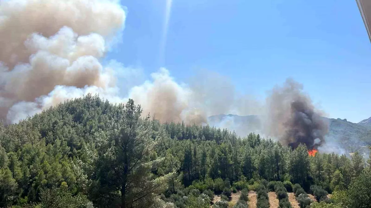 Antalya\'da Orman Yangını