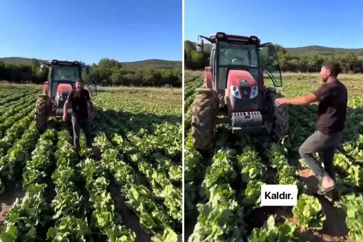 Tarlasındaki ürüne teklif edilen fiyat üreticiyi isyan ettirdi: Markette 30 TL\'ye satıyorlar