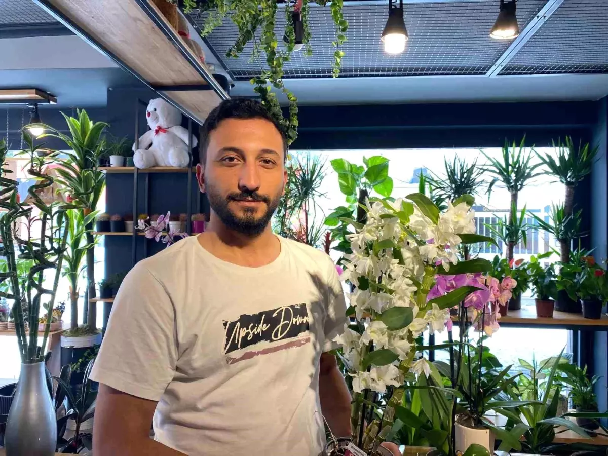 Çiçek Bakımında Yaz Uyarıları