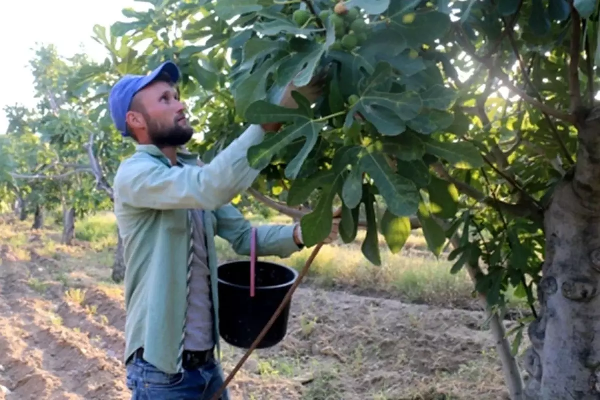 Zor ama parası bol! Aylık 90 bin TL maaşla işçi aranıyor