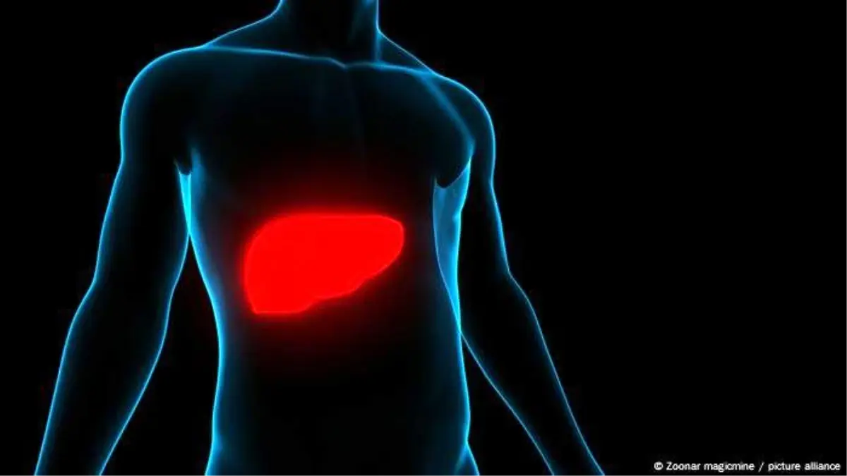 Hepatit Türleri ve Korunma Yöntemleri