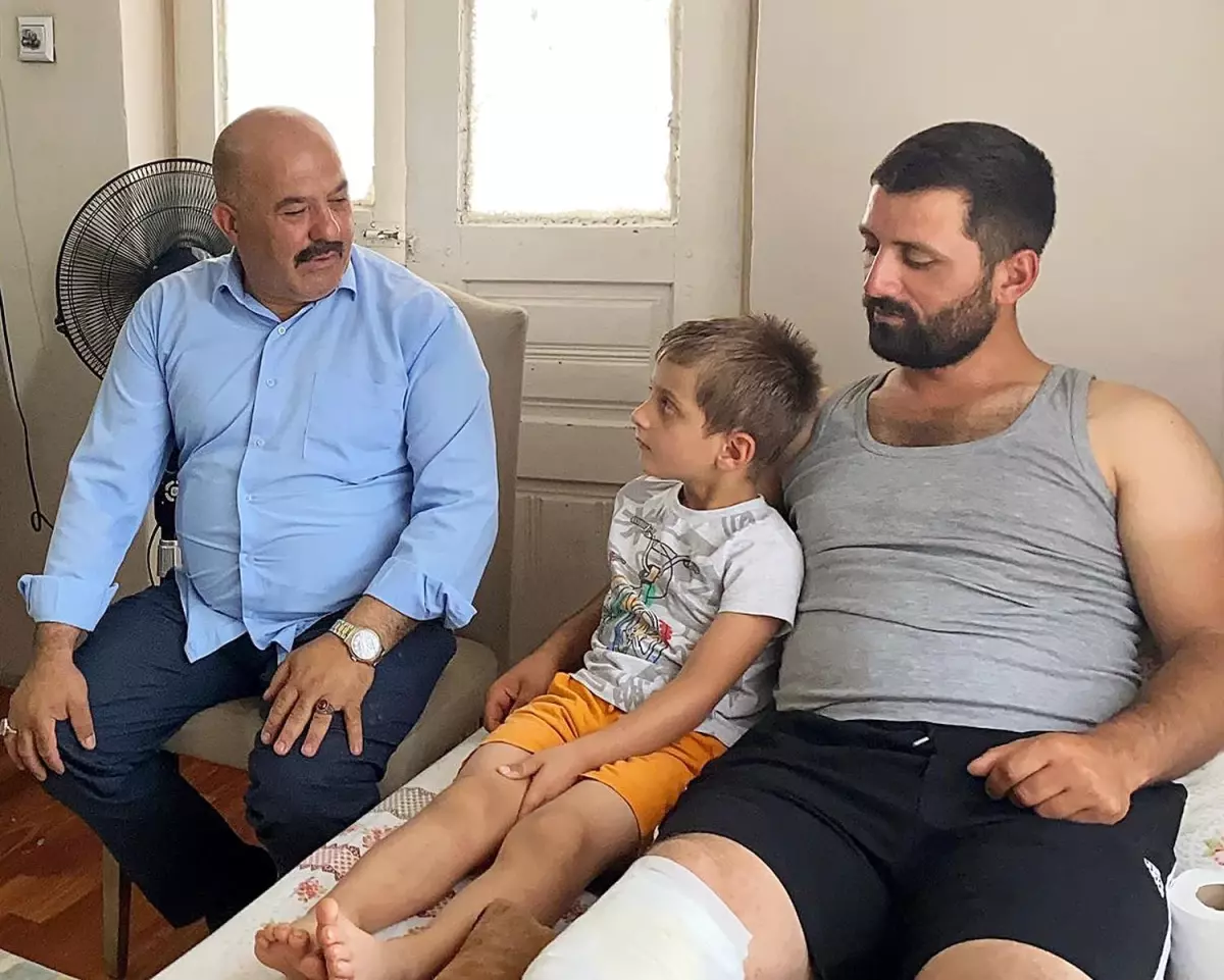Ayı Saldırısı: Mısır Tarlasındaki Hayatta Kalma Mücadelesi