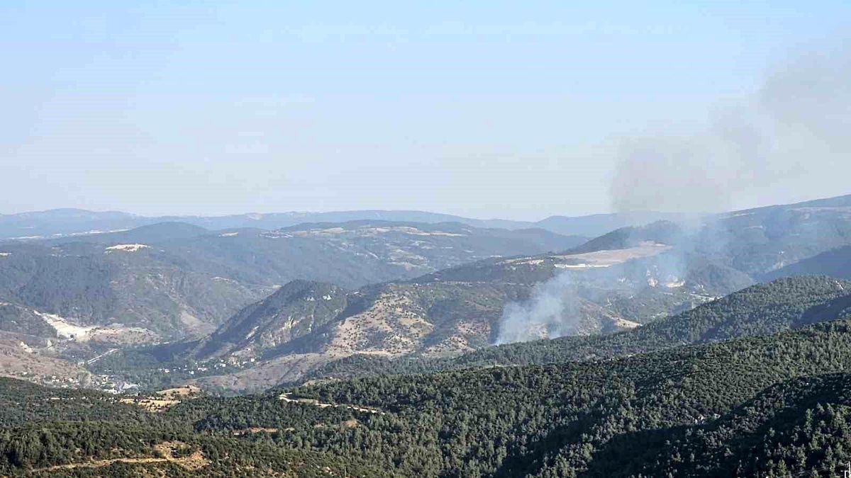 Bilecik\'te Orman Yangını Kontrol Altına Alındı
