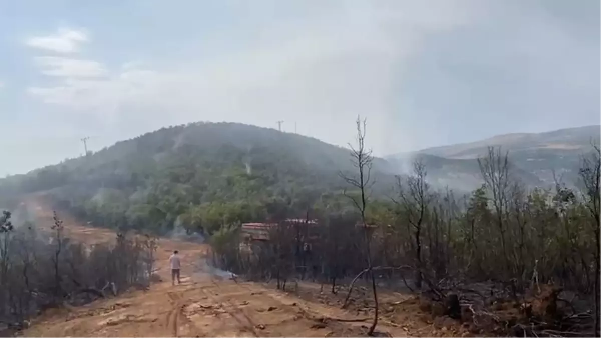 Bingöl\'de İki Orman Yangını
