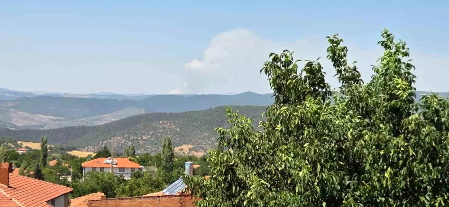 Bursa\'da Yangın İkinci Gününde Süregeldi