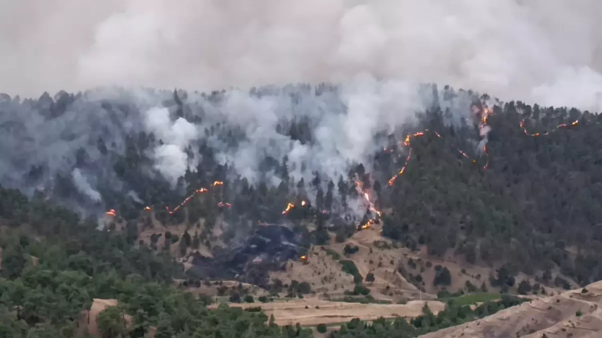 Kahramanmaraş alevlere teslim oldu! 3 ev yandı