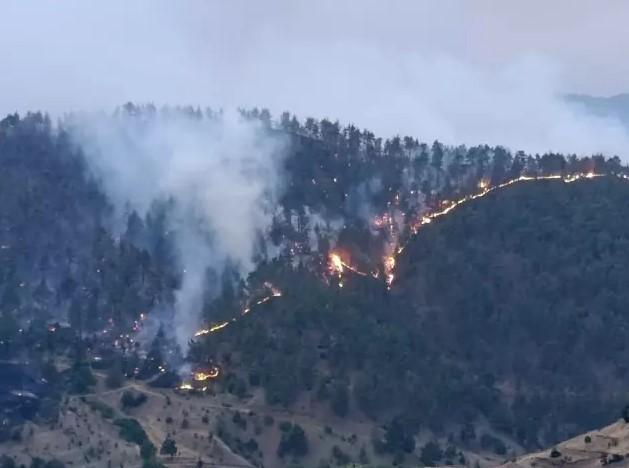 Kahramanmaraş'ta Orman Yangını: 3 Ev Yandı, 18 Ev Tahliye Edildi