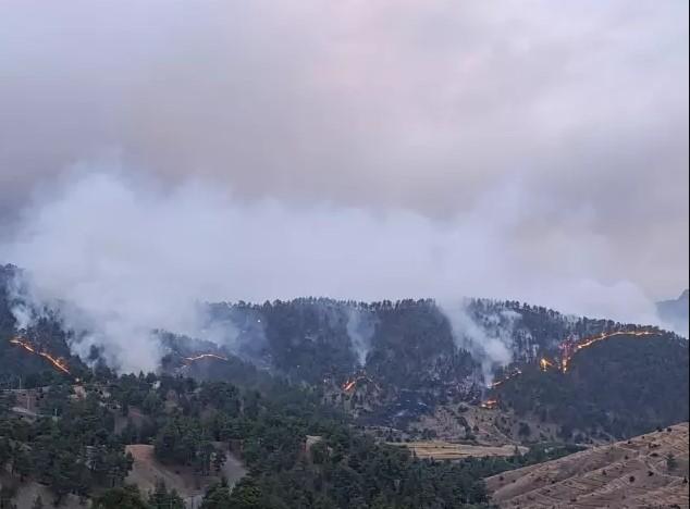 Kahramanmaraş'ta Orman Yangını: 3 Ev Yandı, 18 Ev Tahliye Edildi