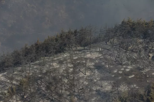 Orman yangınlarında son Bursa'da bir ilçede alevler yeniden şiddetlendi