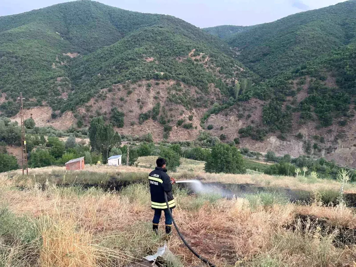 Bingöl\'de örtü yangını söndürüldü