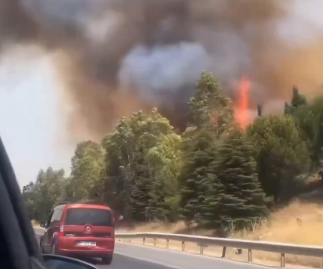 Bir orman yangını da İzmir'de! Bornova'da başlayıp Buca'ya sıçradı
