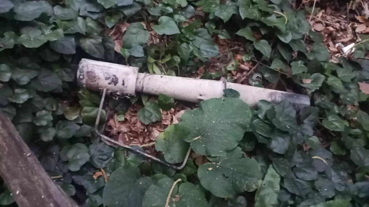 Sakarya\'daki orman yangınının sebebi belli oldu: 2 gözaltı