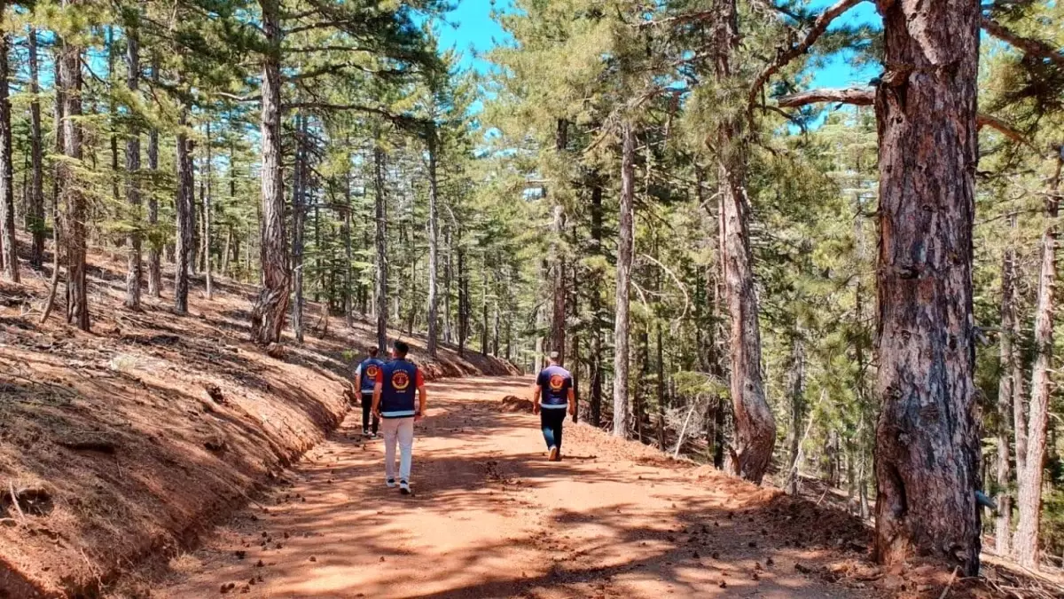 Kayseri\'de Orman Yangınlarıyla Mücadele