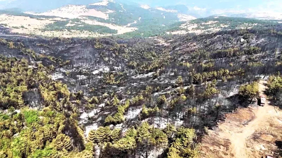 Karabük\'teki Orman Yangını Kontrol Altında