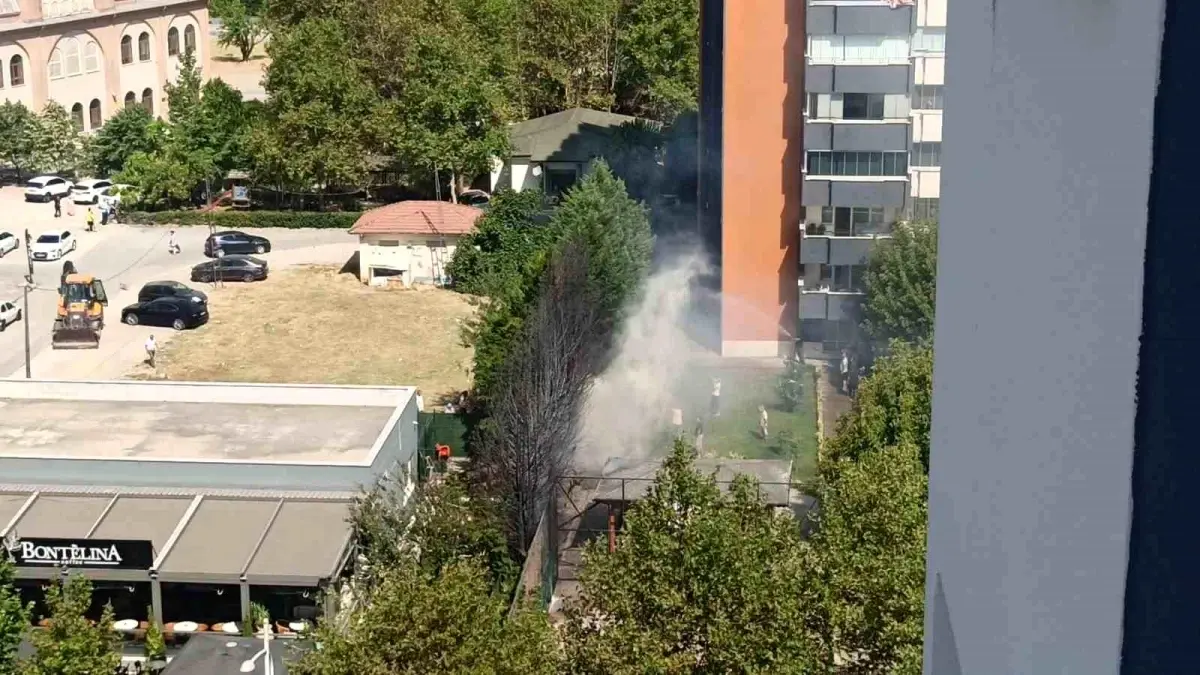 Bursa\'da Kafeye Yakın Ağaçlar Yangın Çıkardı