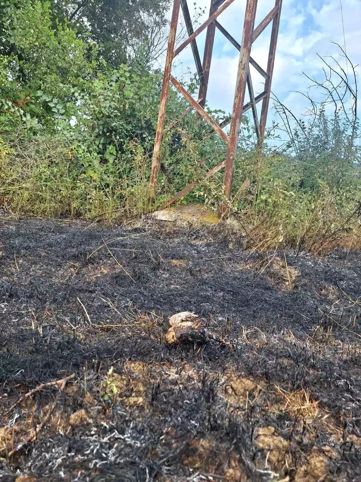 Yüksek gerilim hattına konan kuş yangına neden oldu
