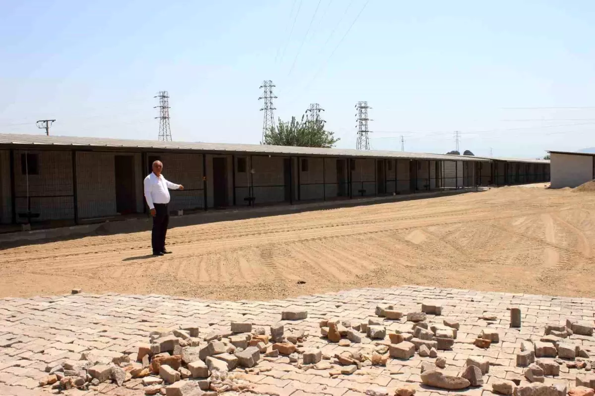 Sultanhisar\'da Yeni Hayvan Bakımevi ve Barınak Projesi Tamamlanıyor