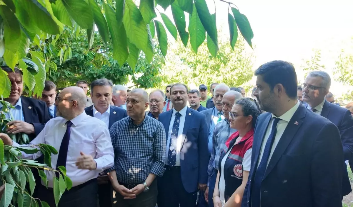 Zirai Don Olayı Araştırma Komisyonu Başkanı: \'420 bin çiftçi etkilendi\'