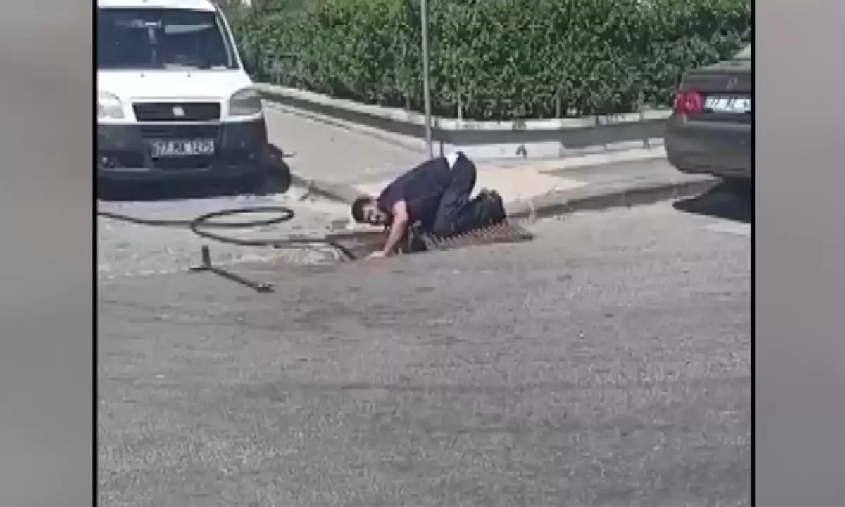 Yalova\'da Kedi Yavruları Kurtarıldı